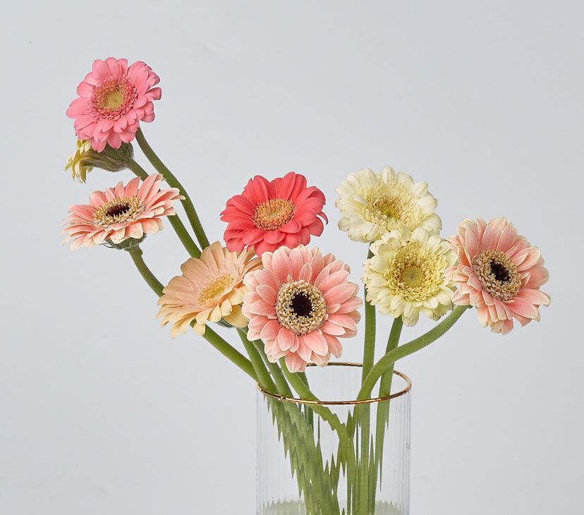 메타포지(Meta Forge)