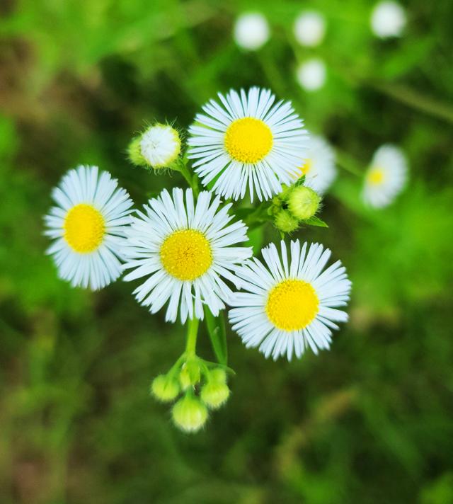 푸드웨이브(Foodwave)