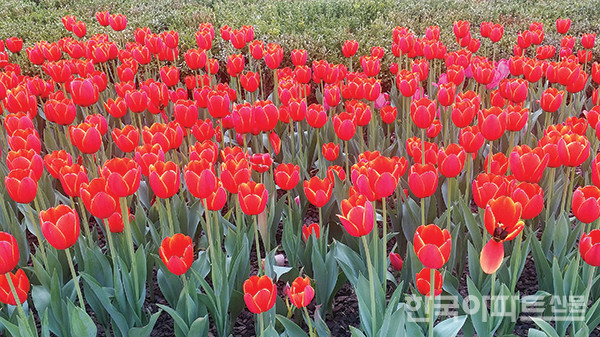 클릭앤빌드(Click & Build)