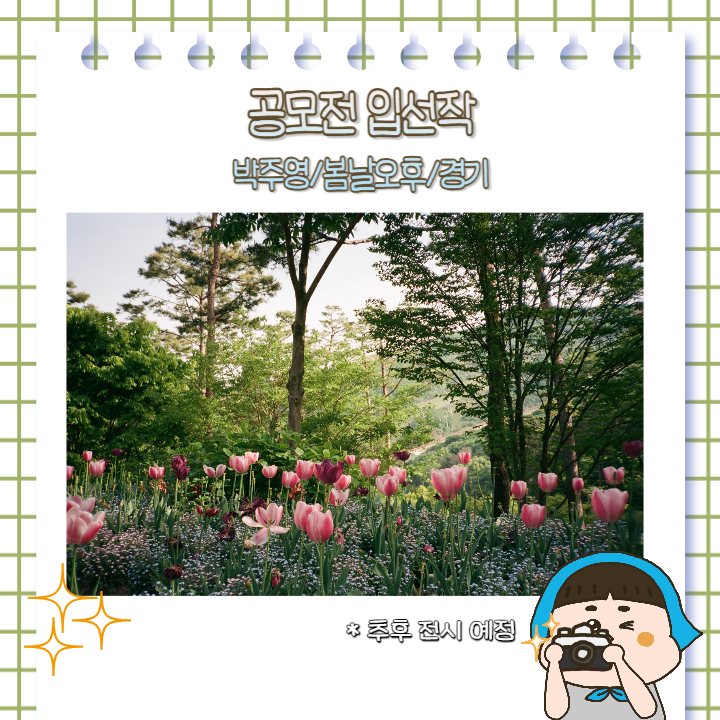 54d1a44c8be89dad213e29f2307edce9_1725117357_5176.png
