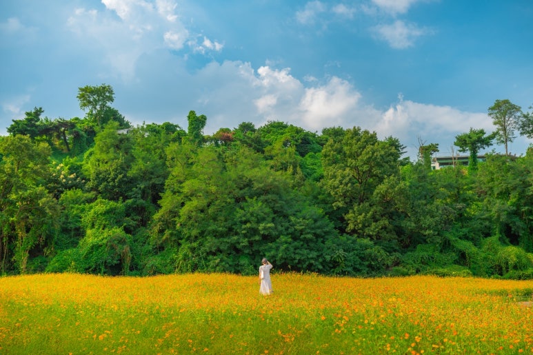 f27c34f09821a9e5ad6982649b7f0923_1764561285_9656.jpg f27c34f09821a9e5ad6982649b7f0923_1764561285_9656.jpg