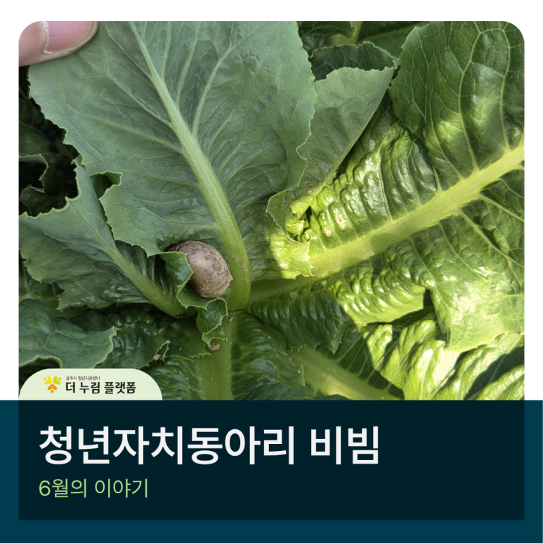 066c2c542140abe01739975b74fdb9ac_1782882288_01.png