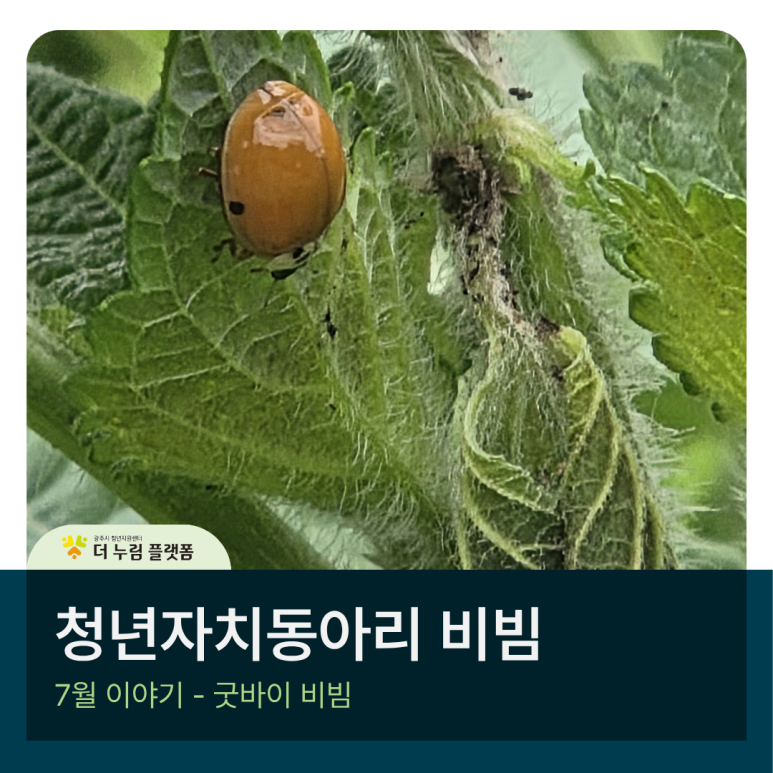c81a49db2c5b154526fde2d6574065c1_1786604696_3807.png