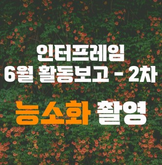 인터프레임 6월 활동 - 2차